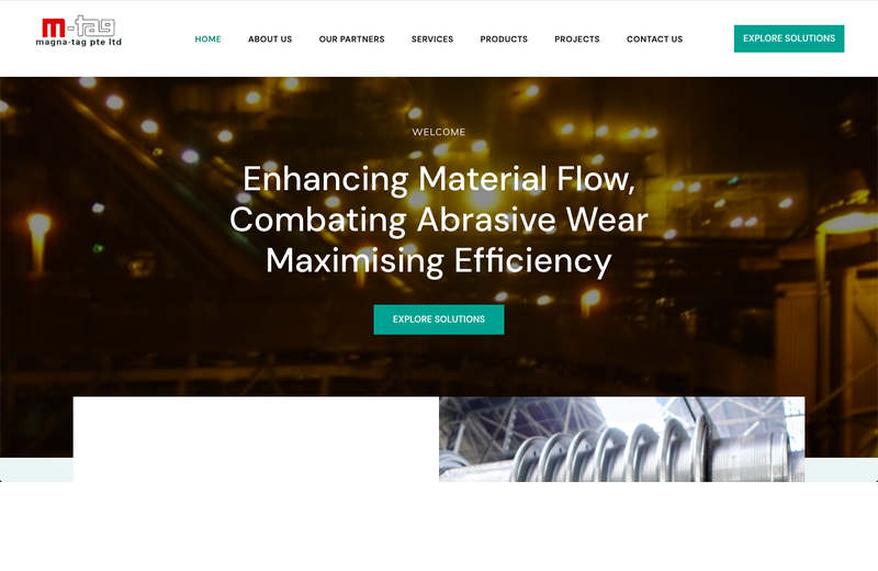 Screenshot of the Magna-Tag website